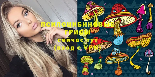 бошки Балахна