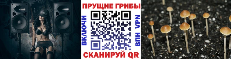 mega рабочий сайт  Краснокамск  Галлюциногенные грибы прущие грибы 